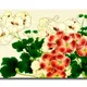 23 X 15 Inch__Sikhash