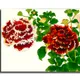 23 X 15 Inch__Sikhash