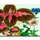 23 X 15 Inch__Sikhash