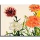 23 X 15 Inch__Sikhash