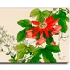 23 X 15 Inch__Sikhash