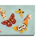 23 X 15 Inch__Sikhash