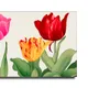 23 X 15 Inch__Sikhash