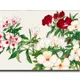 23 X 15 Inch__Sikhash