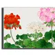 23 X 15 Inch__Sikhash