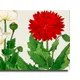 23 X 15 Inch__Sikhash