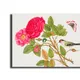 23 X 17 Inch__Sikhash