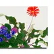 23 X 17 Inch__Sikhash
