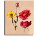 23 X 19 Inch__Sikhash