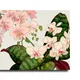 35 X 23 Inch__Sikhash