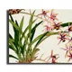 35 X 23 Inch__Sikhash