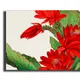 35 X 23 Inch__Sikhash
