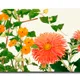 35 X 23 Inch__Sikhash