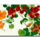 35 X 23 Inch__Sikhash