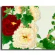 35 X 23 Inch__Sikhash