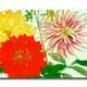 35 X 23 Inch__Sikhash