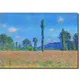 35 X 23 Inch__Sikhash