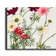 35 X 23 Inch__Sikhash