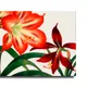 35 X 23 Inch__Sikhash