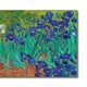 35 X 26 Inch__Sikhash