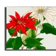 35 X 26 Inch__Sikhash