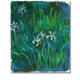 35 X 29 Inch__Sikhash