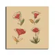 35 X 35 Inch__Sikhash