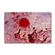 12 X 8 Inch__Sikhash