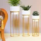 Golden & White__Liban Crafts