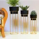 Golden & Black__Liban Crafts