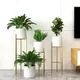 Golden & White__Liban Crafts