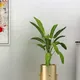 Golden__Liban Crafts