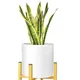 Golden & White__Liban Crafts
