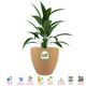 Sandstone Marble__POTS N PLANTERS