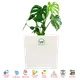 White Marble__POTS N PLANTERS