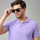 Purple__Zigo