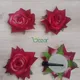 MAGENTA PINK__SMILEBAZAR