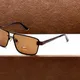 Brown__SwamiRaj EyeWorld