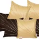 Brown & Cream__INDOAMOR