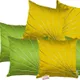 Green & Yellow__INDOAMOR