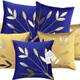 Beige & Blue__INDOAMOR