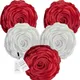 Maroon & White__INDOAMOR