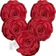 Maroon__INDOAMOR