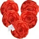 Red__INDOAMOR