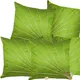 Green__INDOAMOR