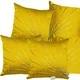 Yellow__INDOAMOR