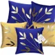Blue & Yellow__INDOAMOR