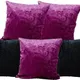 Multicolor & Purple__INDOAMOR