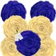 Beige & Blue__INDOAMOR