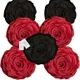 Maroon & Black__INDOAMOR